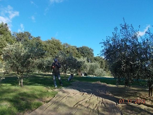 Agriturismo Le Vergare Offagna Bagian luar foto