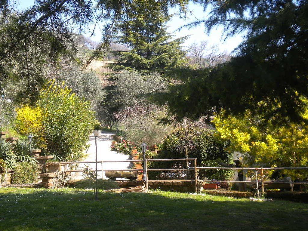 Agriturismo Le Vergare Offagna Bagian luar foto
