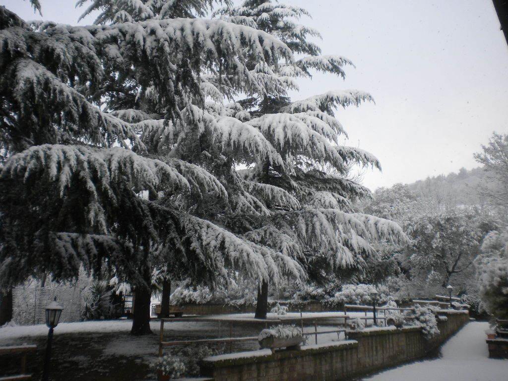 Agriturismo Le Vergare Offagna Bagian luar foto